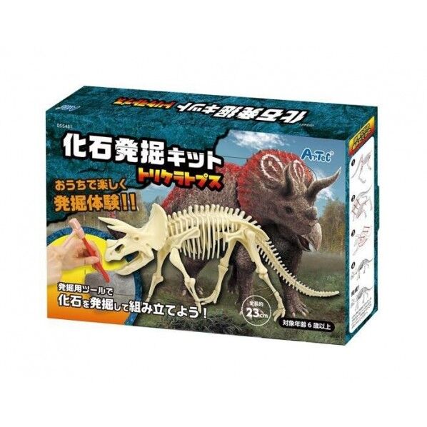 アーテック 化石発掘キット トリケラトプス 55481 1個
