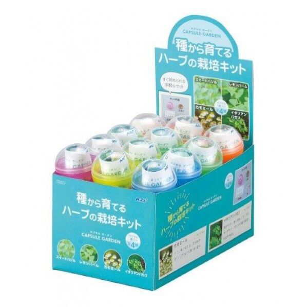 カフﾟセルカﾞーテﾞンBOXセット