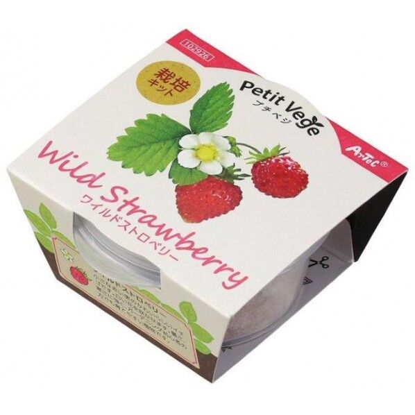 プチベジ ワイルドストロベリー