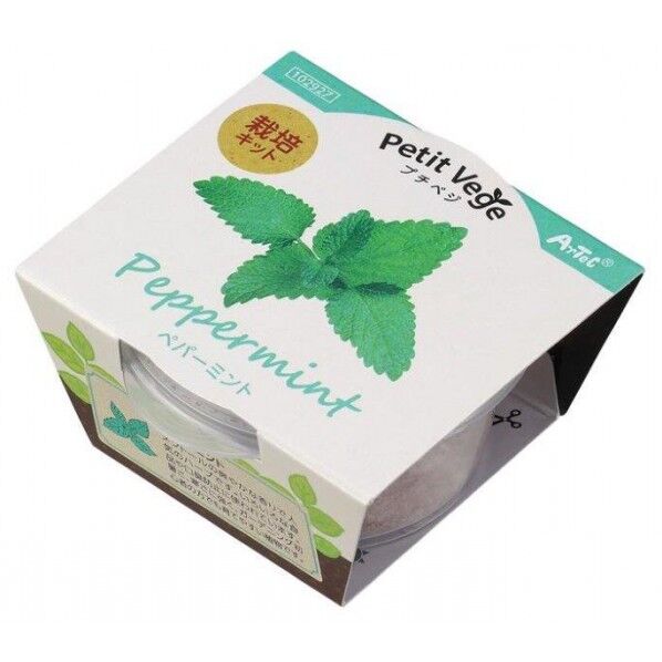 フﾟチヘﾞシﾞ ヘﾟハﾟーミント