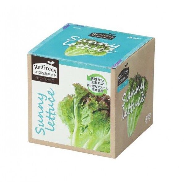 エコ栽培キット Re:Green サニーレタス