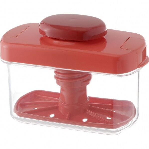 GLIT002リベラリスタ浅漬けメーカーR