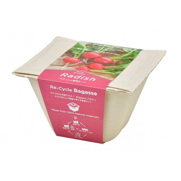 GD-95301バガスグリーンラディッシュ