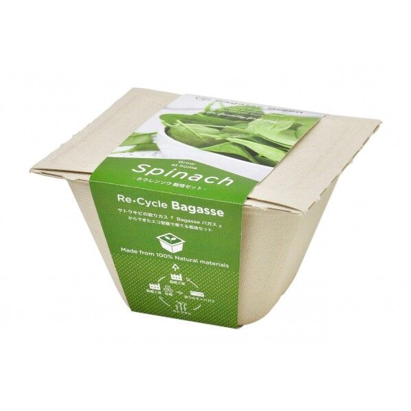 GD-95304バガスグリーンサラダホウレンソウ