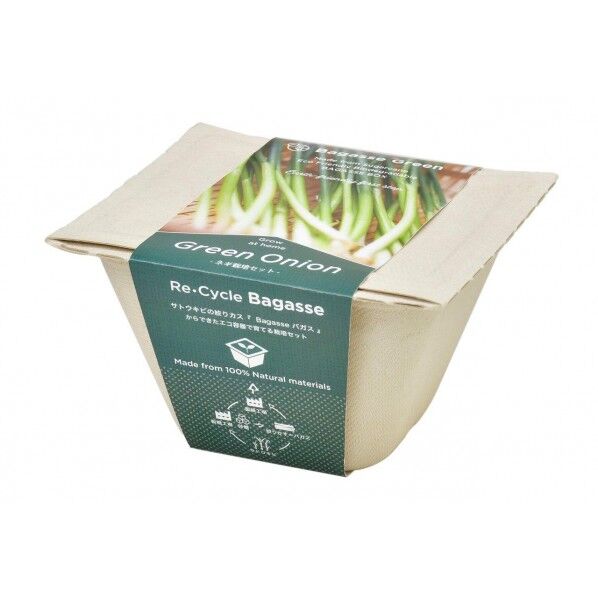 GD-95305バガスグリーンネギ