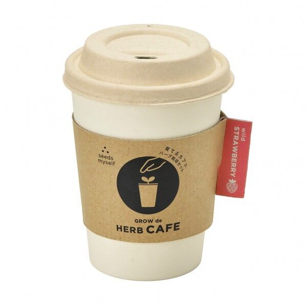 GD-98502育てるカフェWストロヘﾞリー