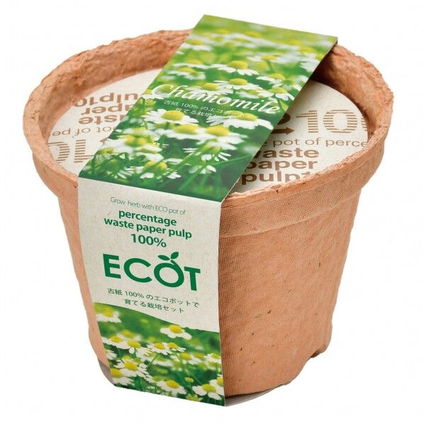 GD-41009エコット(S)カモミール