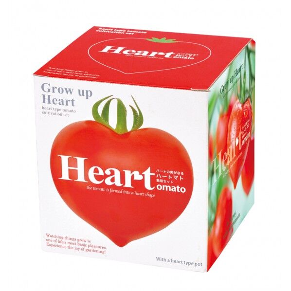 GD-546ハートマト