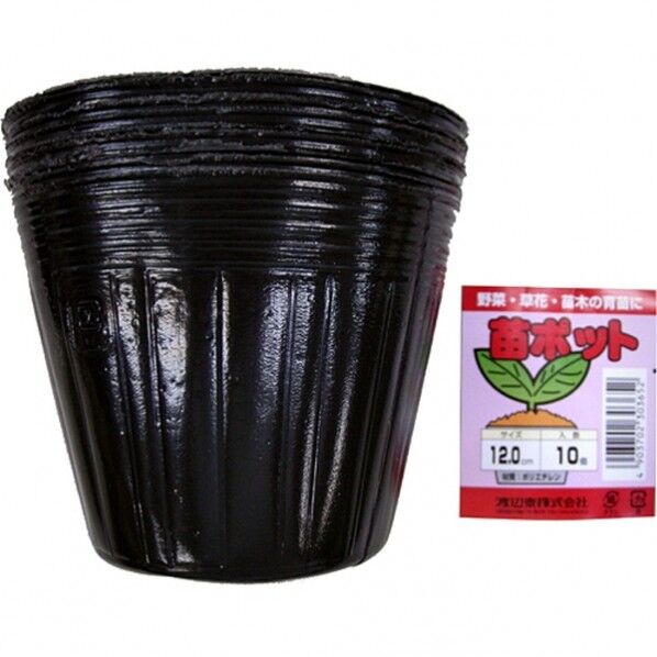 苗ポット 10個入