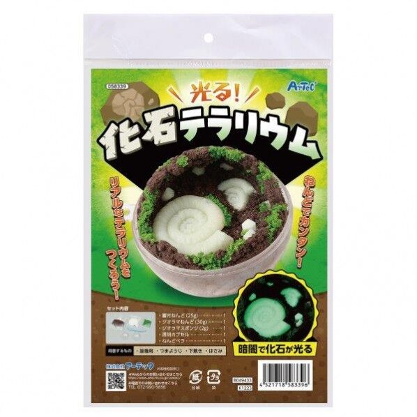 化石テラリウム