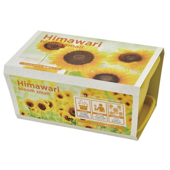 GD-93201エンジョイフラワーミニヒマワリ