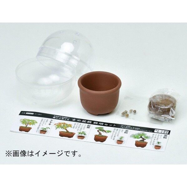 GD-954育てるカプセルミニ盆栽4s