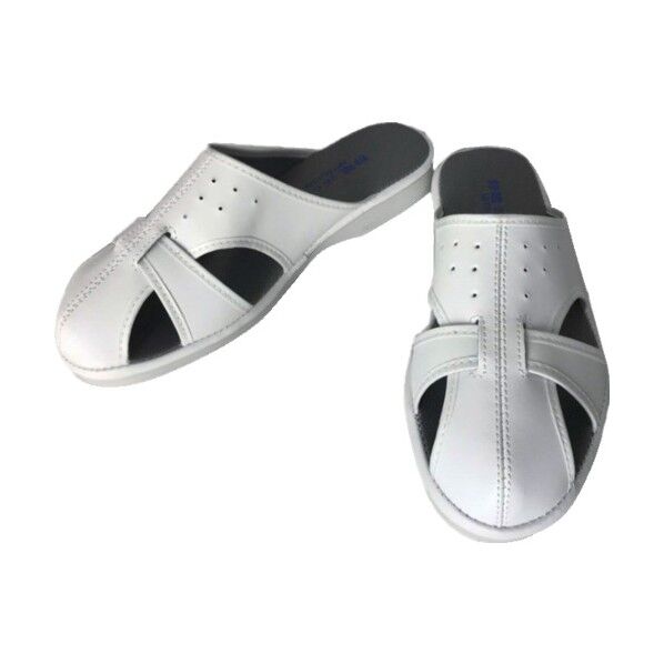 エレクリヤーSサイズ P02NWS 1点