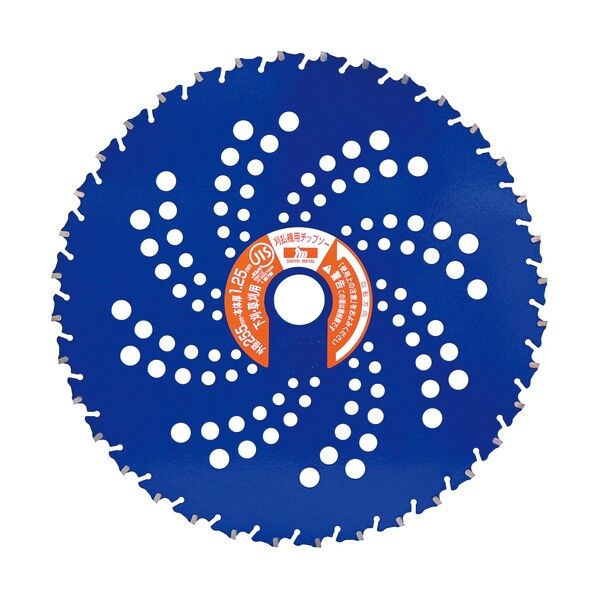 ブルーシャーク