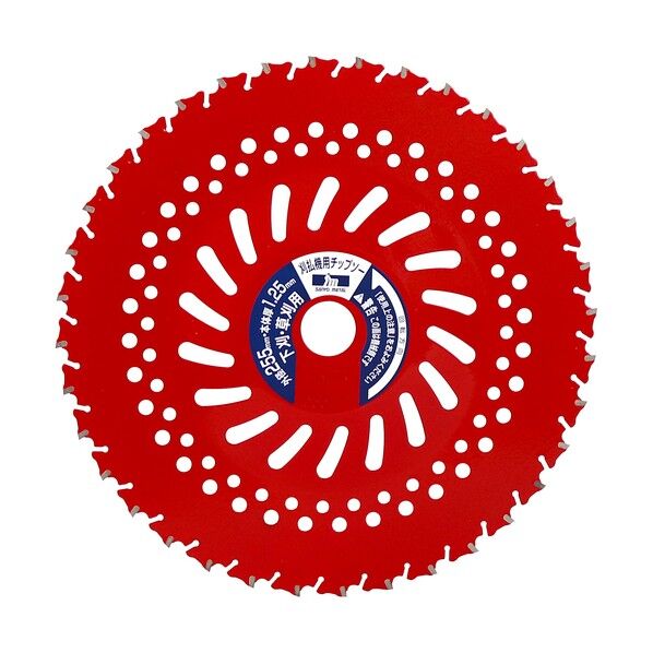 レッドシャーク