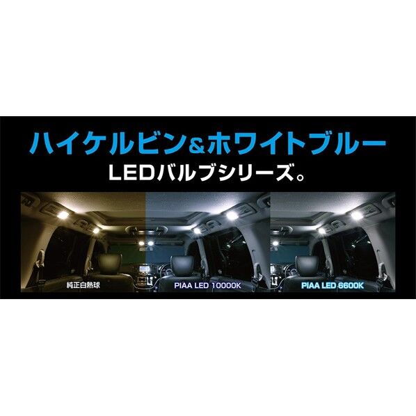 LEDルームランプ 12V T10 6600K 100lm LER126 2個