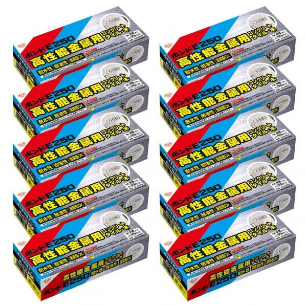 E250 (主剤/硬化剤):白/灰色 100g #04869 10セット