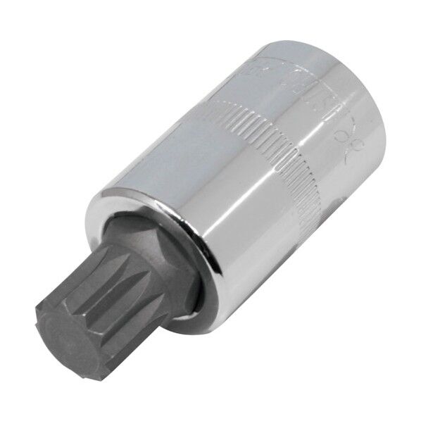 1/2DR トリプルスクエアビットソケット M14 2002000026781 1点