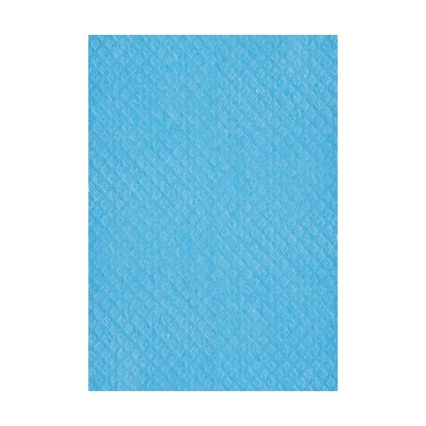 吸水スポンジクロス2 ブルー 4981390120744 1点