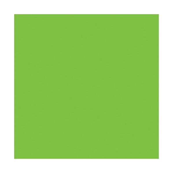 ニューカラーボード イエローグリーン 7mm厚 3X6判 素板 7CB-3X6-YG バラ売り 6300023520 1点