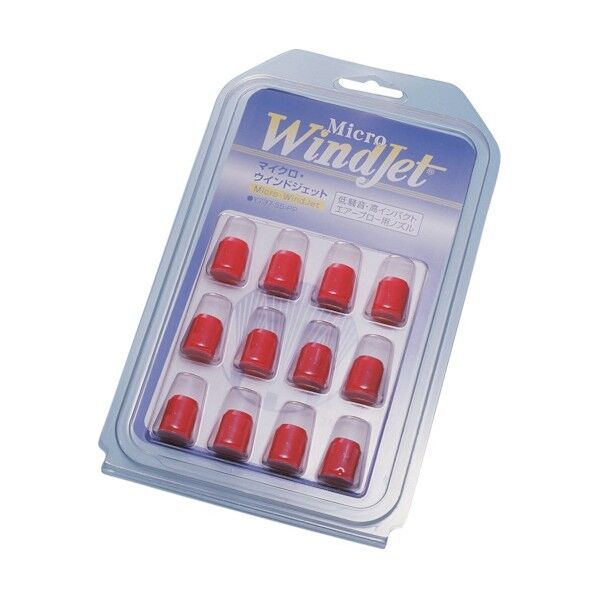 マイクロウィンドジェット PK-Y737-55-PP-12 1点