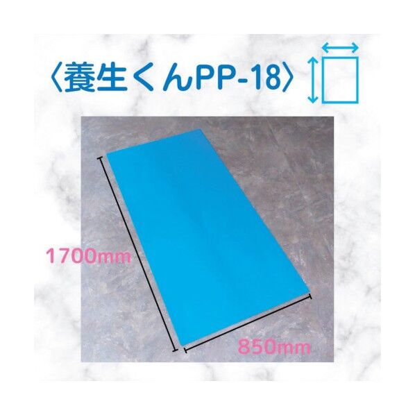 養生くん 青 1.8mm×850mm×1700mm PP-18 10枚