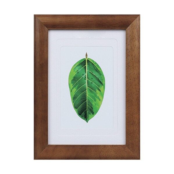 写真立て ゴムの木 L・ハガキ・2L兼用 ブラウン PS-GM-BR 1箱