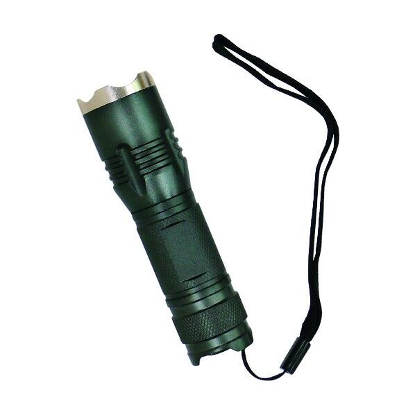 フォーカスハンドライト