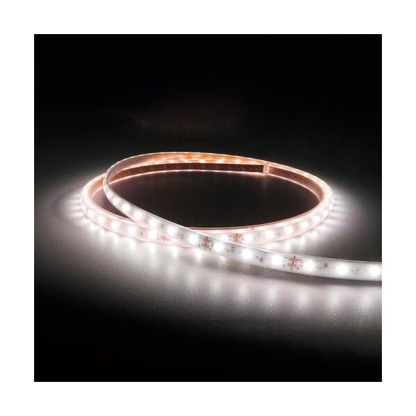 LEDテープライト Viewdi Plus DC24V 16.6mmP 5000K 1m巻 TLVD+502-16.6P-1 1点