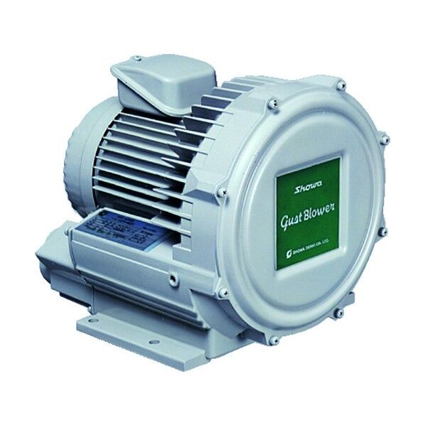 昭和電機 電動送風機 渦流式高圧シリーズ ガストブロアシリーズ 0.3kW U2V30S 1個