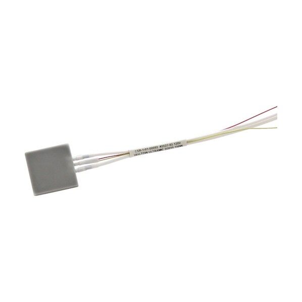 WATLOW 小型窒化アルミヒーター ウルトラミック 25×25×2.5t WALN-3 1点