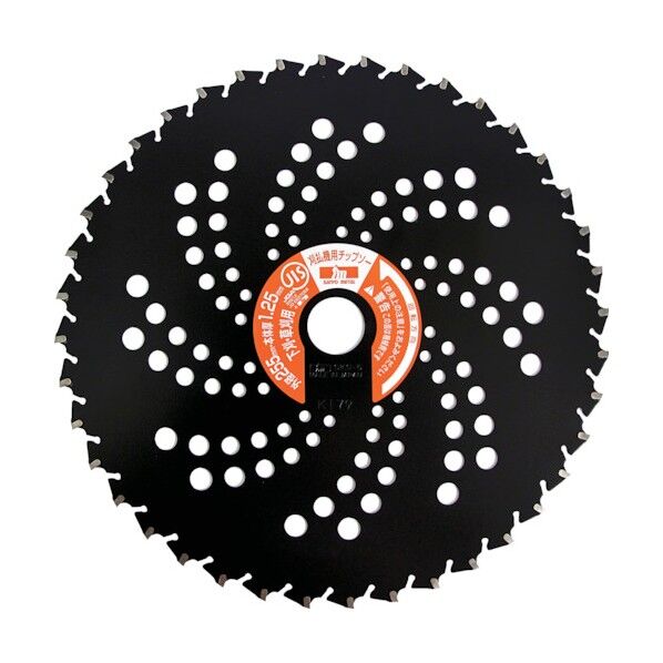 ブラックシャーク