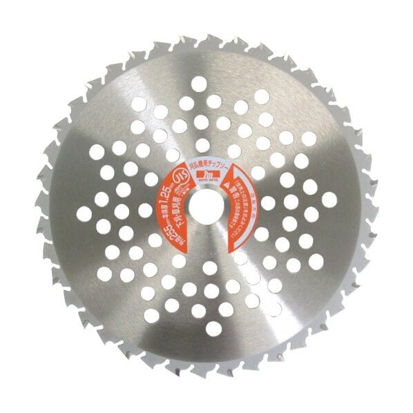 ホワイトシャーク