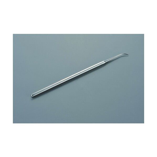 デンタルケア 歯垢・ヤニとり