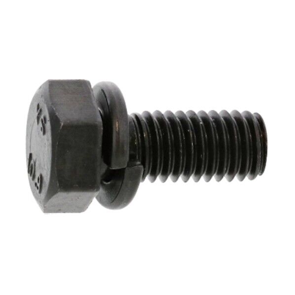 三価ホワイト 10.9 トリーマP=2 10×35 80本