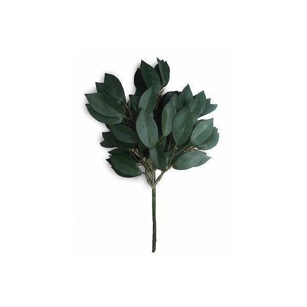 弥栄榊 幅220mm×高330mm 1枚