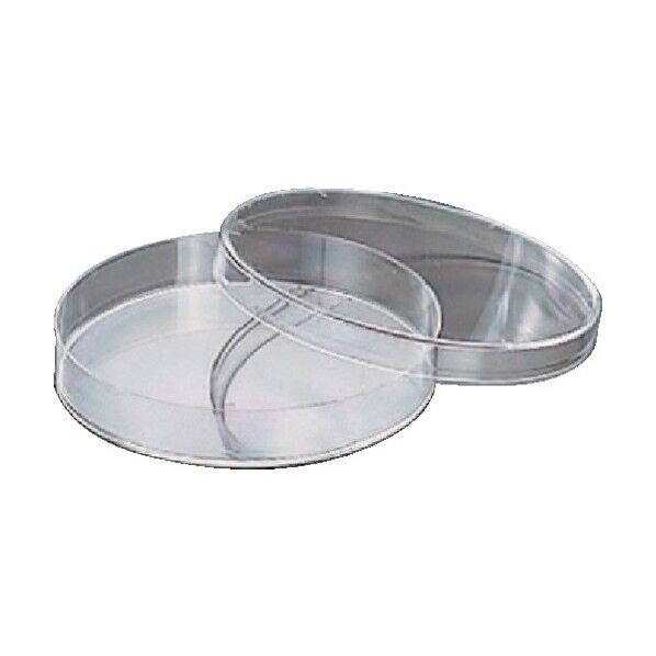 ディスポシャーレ