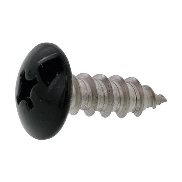 頭部ブラック ステン(+)Aトラス 4×16 20-02-0003-0040-0160-B0 500本