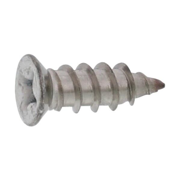 頭部ホワイト ステン(+)Aサラ D6 コアタマ 4×20 20-02-0006-0040-0200-A0 1000本