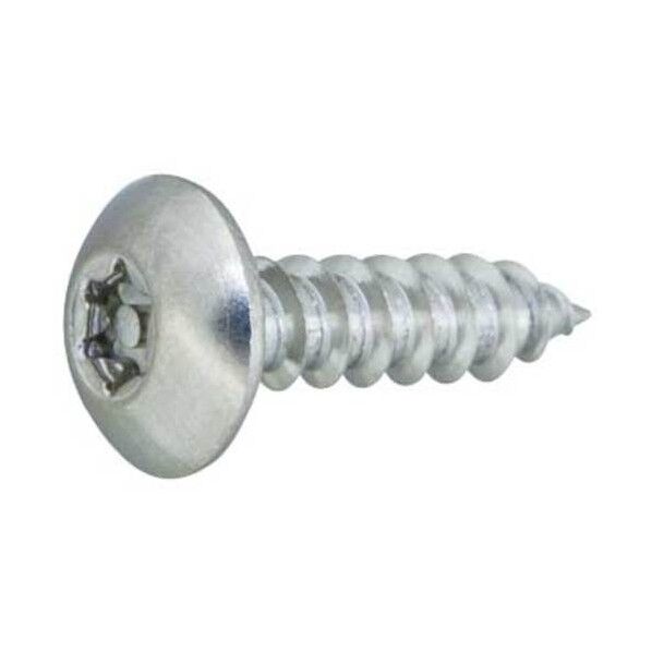 BK ステン TR×タンパー プルーフ Aトラス 4×30 20-02-T103-0040-0300-08 500本