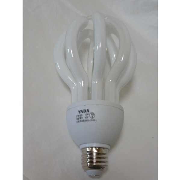 矢田カボチャ型蛍光灯40W替球 1点