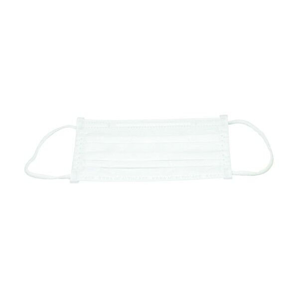 三次元マスク 7枚 ホワイト ふつう 24847 7枚