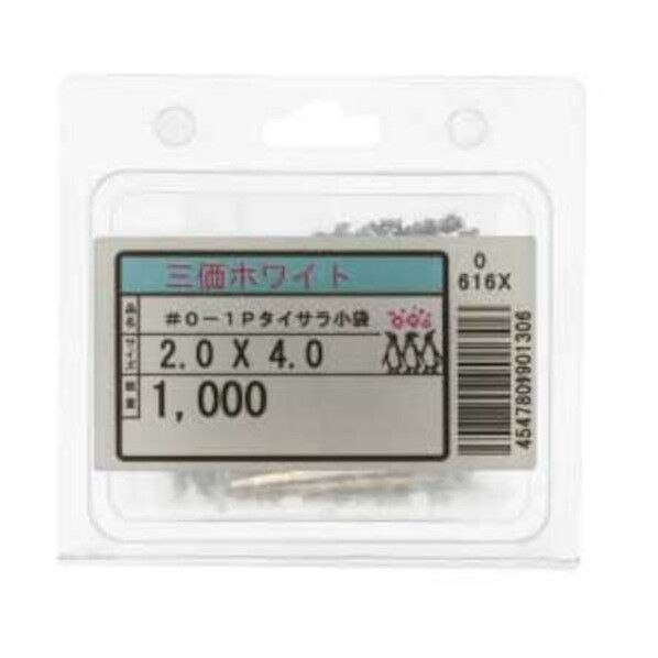 マイクロねじ 0番1種(＋) Pタイ皿 生地 ステンレス