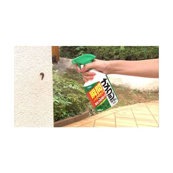 フマキラー ナメクジカダンスプレー450ml 450ml 432633