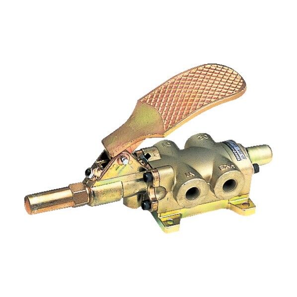 TAIYO フートバルブ 42802 4F-103 1...