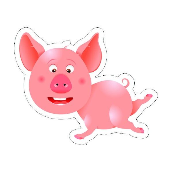 イメージアップソフトカルプ ブタ SCA-06 6300001470 1点