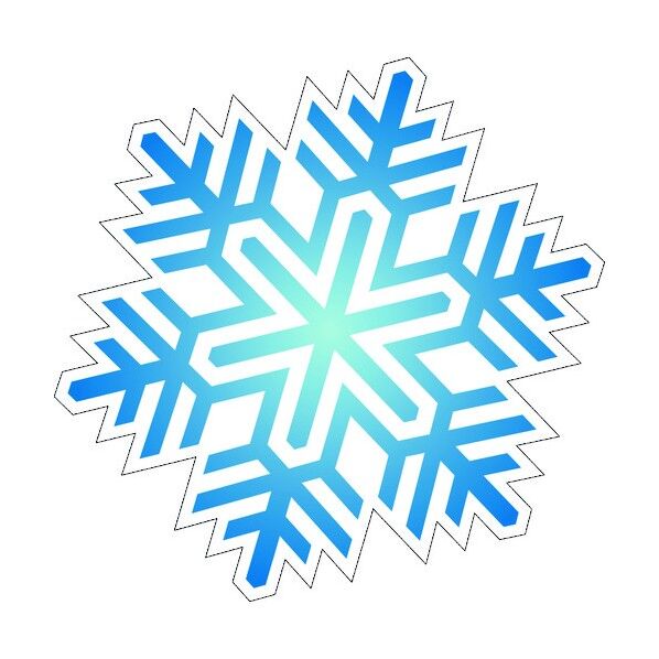 イメージアップソフトカルプ 雪2 SCC-12 6300001509 1点