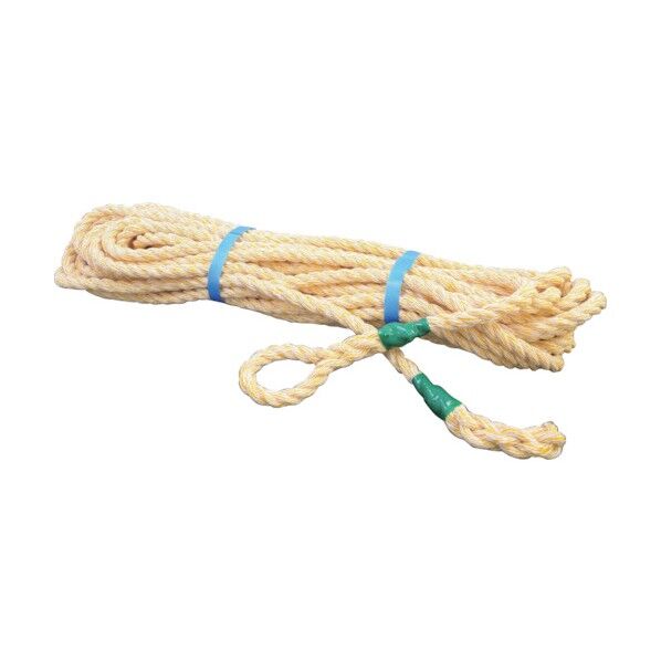 トラックロープ 20m巻 12mm 6300005371 1点