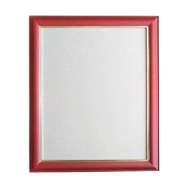 デッサン額 HVM A4 インディアンレッド 屋内用 6300010176 1点