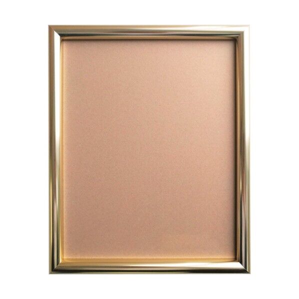 デッサン額 IC 150角 ゴールド 屋内用 6300010024 1点